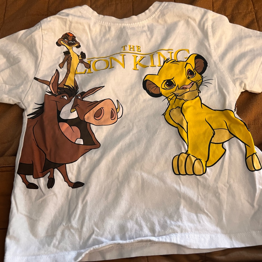 Zara toddler boy Lion King tshirt size 3-4T